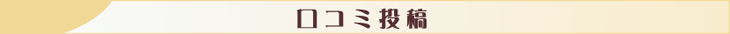 口コミ投稿