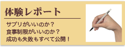 体験レポート
