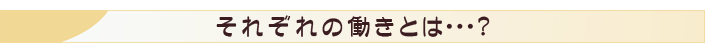 それぞれの働きとは？
