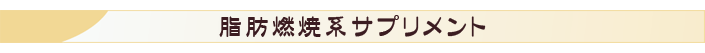 脂肪燃焼系サプリメント