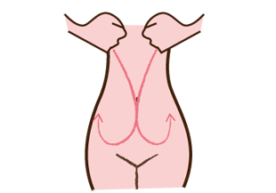 握りこぶしで脂肪を柔らかくする