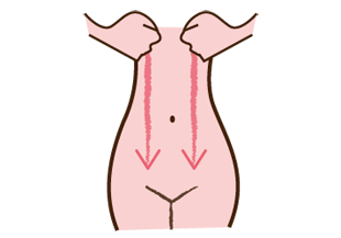 さらに2～3分脂肪を揉みしだく！